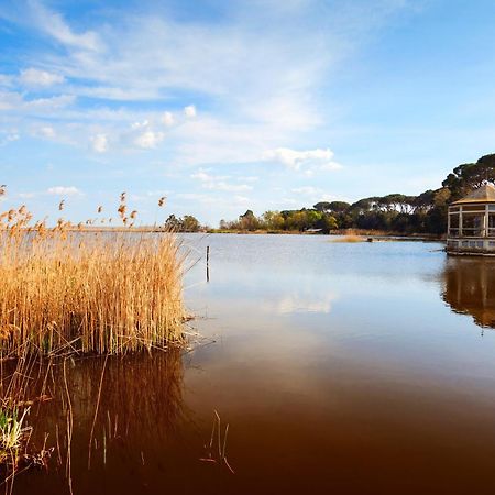 La Casa Nel Parco Lägenhet Viareggio Exteriör bild