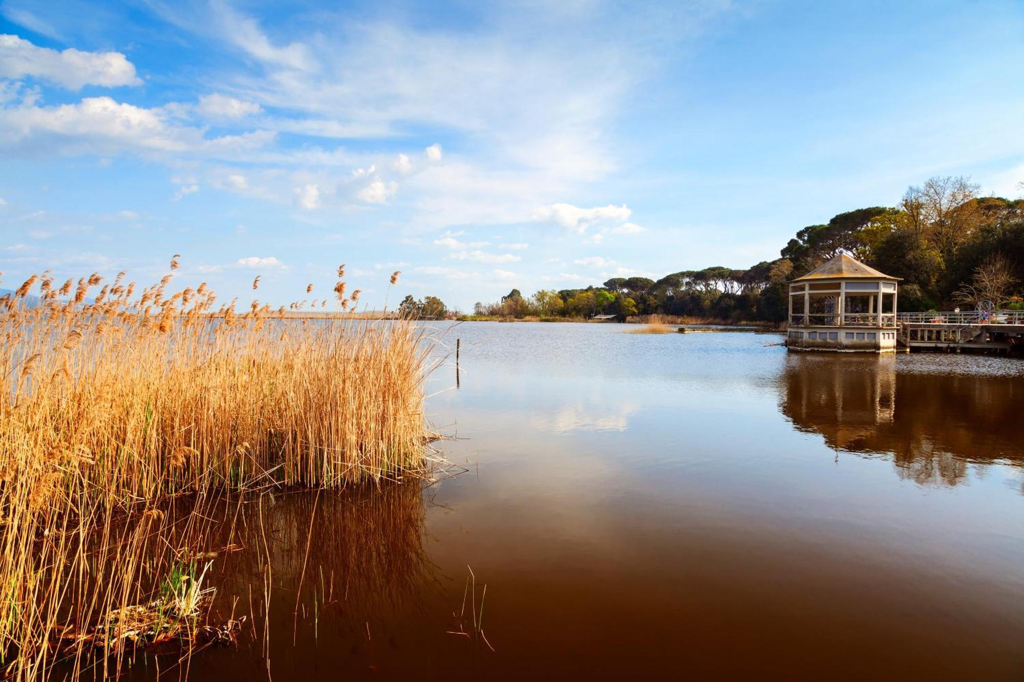La Casa Nel Parco Lägenhet Viareggio Exteriör bild